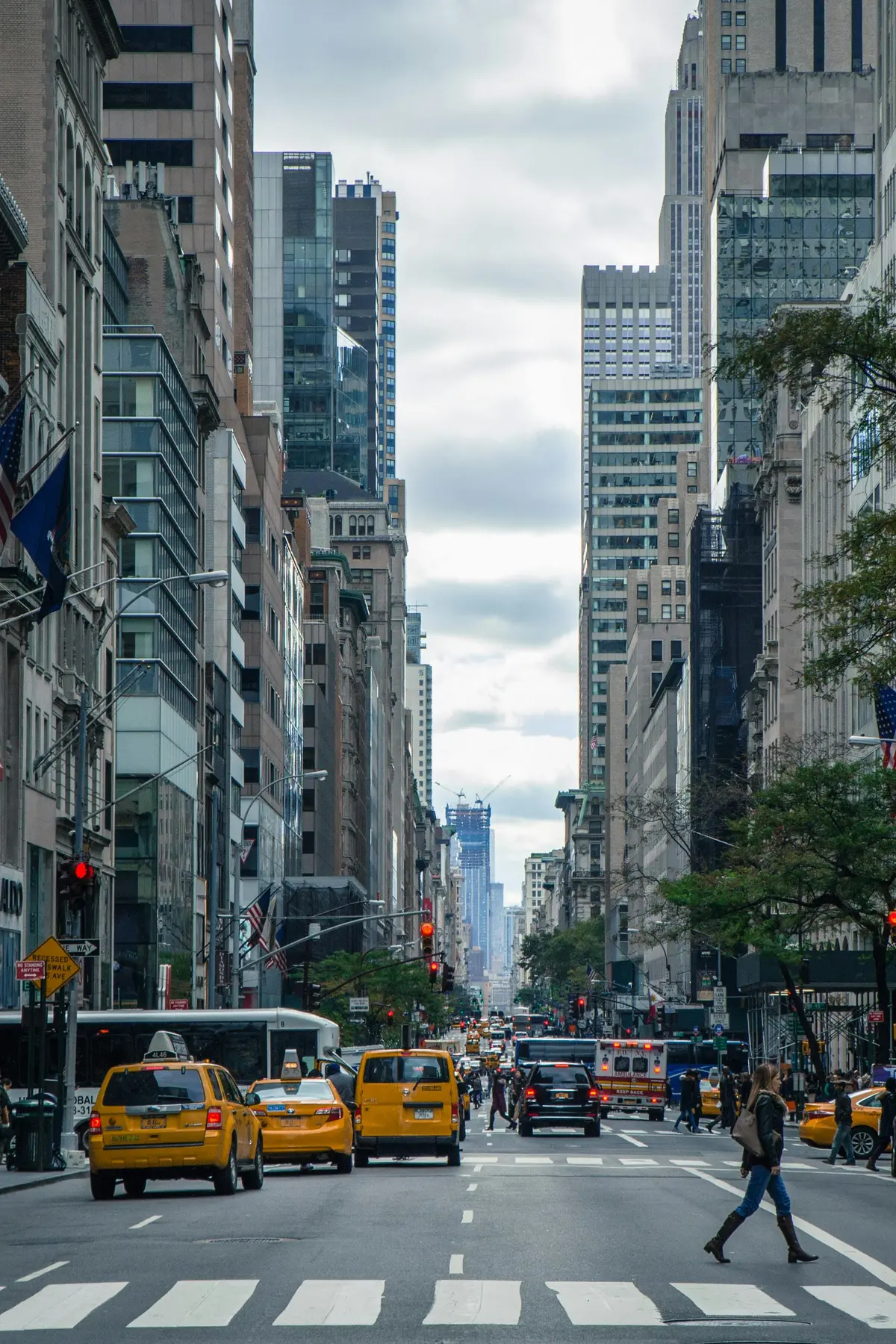 Michael Jones Chef Designer